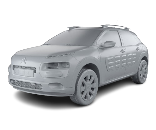 C4 Cactus