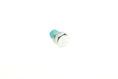 Болт слива растительного масла VW Caddy III/T4/T5/T6/Crafter (M14 x 1.5) AIC 51791