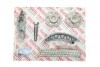 Комплект ланцюга ГРМ MB Sprinter 2.2CDI OM651 09- (+2 шестерні) (з покриттям TRITAN®) AIC 73518Set (фото 1)