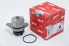 Водяной насос Berlingo/Partner 1.1/1.4i 96- (20z) AIRTEX 1212 (фото 1)