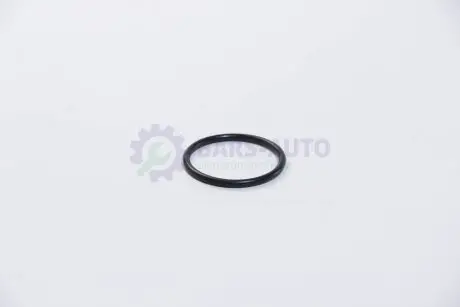 Прокладка термосии VAG/PSA/Renault (4x47x55mm) AJUSA 16029000