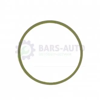 Прокладка колектора впуск Berlingo/Partner 1.6 i 00- AJUSA 24023100