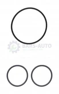 Прокладка турбины (к-кт) Crafter/T6 2.0 TDI 15- AJUSA 77009700