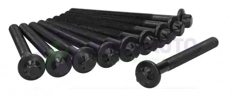 Болти головки блоку Master/Trafic 2.5dCi 00- (к-кт) AJUSA 81031600