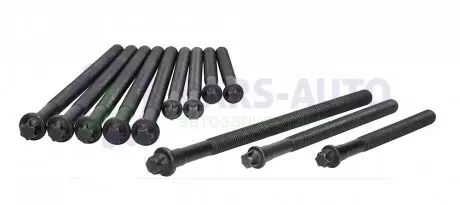 Болти головки блоку BMW 1/3/5/X1/X3 1.6-2.0 i 00-15 AJUSA 81044900