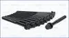 Компл. болтов ГБЦ HYUNDAI SANTA FE III, IV 2.0, 2.2d (10шт) AJUSA 81052900 (фото 2)