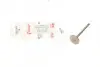 Клапан (впуск) Ауди A3/A4/VW Golf/Jetta/Passat 2.0TDI (29.2x6x87.8) (азотированный) AMP PAUD062-S-0-N (фото 1)