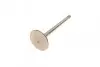 Клапан (впуск) Ауди A3/A4/VW Golf/Jetta/Passat 2.0TDI (29.2x6x87.8) (азотированный) AMP PAUD062-S-0-N (фото 5)