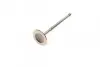 Клапан Opel Astra F/G/Vectra A/B 1.8 16V/2.0 16V 92-05 (27.5x6x100.7) (азотированные) AMP PCHE034-A-0-N (фото 4)