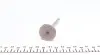 Клапан (выпуск) Skoda Octavia/Superb/VW Golf/Passat 1.8 97-10 (29.9x6x103.9) (азотированный) AMP PVWG122-A-0-N (фото 2)