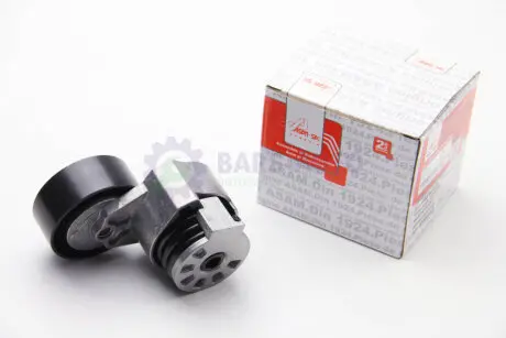 Ролик ремня генератора Renault Logan (04-), Megane (03-), Kangoo, Laguna, Sandero (08-), Duster (10-) 1,5 dCI с конд ASAM 30686