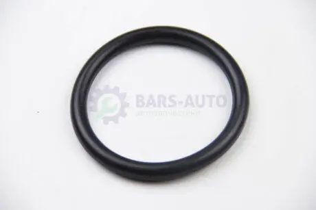 Прокладка колектора впуск Kangoo/Duster/Clio II/Laguna II 1.4-2.0 i 01- ASAM 55799