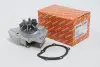 Водяний насос Scudo/Jumpy/Berlingo/Expert/Ducato 1.9D/2.0HDi 98- AUTOTECHTEILE 508 0106 (фото 1)
