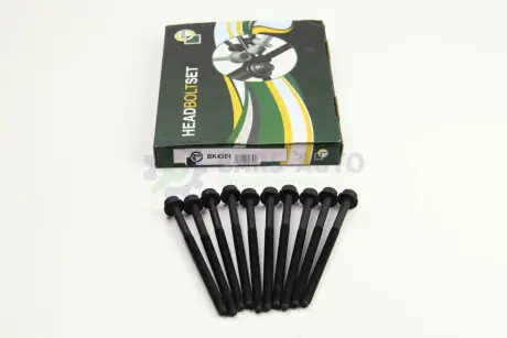 Болти головки блоку VW Caddy II/Golf IV/V 1.4/1.6i 96- (10шт.) BGA BK4301