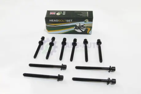 Болти головки блоку Caddy 04-/Golf 97-13/Passat 1.6/2.0i 97-11 BGA BK5346