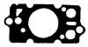 Прокладка головки Scorpio 93-94/Range Rover 86-94 2.4-2.5 TD BGA CH5350 (фото 1)