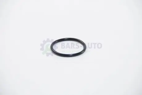 Прокладка термостата Omega A/Fabia/Octavia/Caddy/Golf 1.4/1.6i (47x4) BGA OR4345