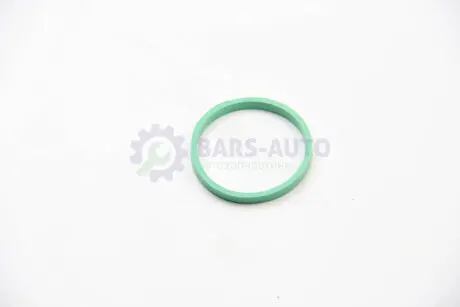 Прокладка колектора впуск Caddy II/III/Golf IV/V/VI 1.6 i 00- BGA RW4353