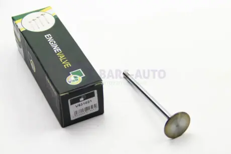 Клапан впуск. Jumpy/Scudo/Expert/C5/Volvo S40 2.0/2.2 HDI/TDCI 00- BGA V531021