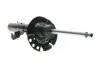 Амортизатор (передній) Ford Focus 10- (L) (B4) BILSTEIN 22-256362 (фото 1)