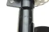 Амортизатор (передній) Ford Focus 10- (L) (B4) BILSTEIN 22-256362 (фото 4)