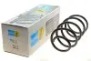 Пружина (передняя) BMW X1 (E84) 09-15 N47/N20 (B3) BILSTEIN 37-251499 (фото 1)
