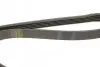 Ремень генератора Toyota Camry/Celica/Rav4 1.8-2.0 83-00 BLUE PRINT AD05R1000 (фото 3)