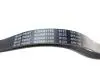 Ремінь генератора Nissan Primera/Fiat Marea 1.8-2.4JTD 96-02/ Honda Accord 1.8-2.0 98-03 BLUE PRINT AD06R1105 (фото 2)