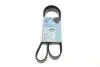Ремень генератора Renault Kangoo 1.5 dCi/ Citroen C5/ C6/ C8/ Xantia/ XM Break 2.0-2.2 92- BLUE PRINT AD06R1200 (фото 1)