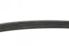 Ремень генератора Renault Kangoo 1.5 dCi/ Citroen C5/ C6/ C8/ Xantia/ XM Break 2.0-2.2 92- BLUE PRINT AD06R1200 (фото 2)