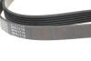 Ремінь генератора VW LT 2.5TDI -06/T4 2.5 91-03/Ford Connect 1.8 TDCi 02-07/ Opel Astra 1.7 07- BLUE PRINT AD06R1718 (фото 3)