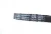 Ремень генератора Citroen Berlingo/VW Golf III 1.4-2.0i 91-/ Ford Fiesta/ Focus 1.4-1.6 TDCi 03- BLUE PRINT AD06R975 (фото 2)