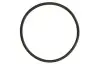 Кільце ущільнююче 56 X 2,75MM N13 BMW 11667566483 (фото 1)