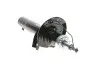 Амортизатор (передний) VW Caddy III 2.0EcoFuel 06-/Caddy IV 1.0-1.4TSI/1.6/2.0TDI 15- (d=55mm) BOGAP A3410101 (фото 7)