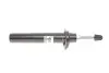 Амортизатор (передний) BMW X3 (F25)/X4 (F26) 10-18 (L) BOGAP B3410126 (фото 1)
