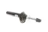 Амортизатор (передний) BMW X3 (F25)/X4 (F26) 10-18 (L) BOGAP B3410126 (фото 8)