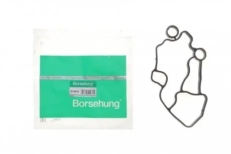 Прокладка корпуса масляного фильтра Audi A4/A6 2.0TFSI/VW Golf V 2.0 06- Borsehung B10622