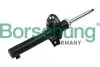 Амортизатор (передний) VW Golf 04-13/Skoda Octavia 04-13 Borsehung B12137 (фото 10)