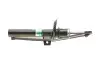Амортизатор (передний) VW Golf 04-13/Skoda Octavia 04-13 Borsehung B12137 (фото 3)