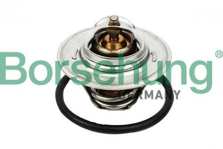 Термостат VW T5/Caddy/Passat 1.6/2.0i 03-15 (від 87-102 ° C) (OE VAG) Borsehung B13140 (фото 1)