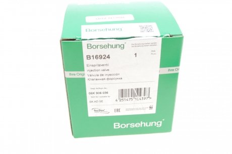 Форсунка Borsehung B16924