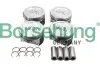 Поршень Audi A3/A4/VW Passat/Caddy 1.6 96-10 (к-кт 4шт.) Borsehung B16955 (фото 10)