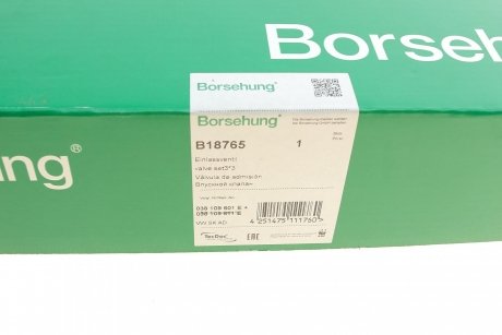 Впускний клапан Borsehung B18765