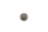 Клапан (впуск) Audi A4/A6/Skoda Octavia/Superb/VW Golf/Passat 1.8-3.0 -10 (OE VAG) Borsehung B19025 (фото 6)