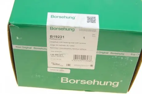 Маточина з підшипником задня з аксесуарами Borsehung B19231