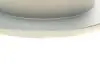 Диск гальмівний (задній) Hyundai Accent III 05-10/Kia Rio II 05- (262x10) BOSCH 0 986 479 C08 (фото 3)