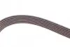 Ремень генератора MB C-class (W202) 2.0 95-01 (6PK1863) BOSCH 1 987 945 983 (фото 3)