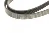 Ремінь генератора Audi A8 3.0i 03-06/Lexus GS/IS 3.0/3.5 00-11/Ford Fiesta 1.25-1.6 94-02 (6PK1930) BOSCH 1 987 946 005 (фото 5)
