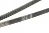 Ремінь генератора VW Passat 1.9TDI 96-00/Audi A4/A6 1.9TDI 95-01 (5PK1592) BOSCH 1 987 946 022 (фото 4)