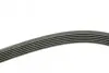Ремінь генератора VW LT 2.5TDI 96-01/Peugeot Expert 1.9D/2.0HDI 98- (6PK1755) BOSCH 1 987 946 030 (фото 3)
